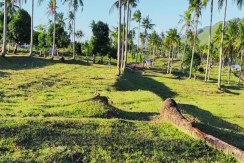 For Sale 18 Hectares Farm Land Sibonga Cebu